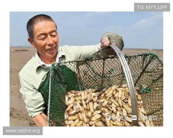 鲅鱼圈赶海直播：黄金海岸掀起线上淘鲜热